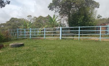 Venta Finca Ganadera y Agricola Gomez Plata Antioquia