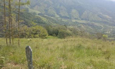 Venta Finca Ganadera y Agricola Gomez Plata Antioquia