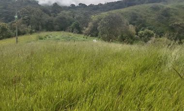 Venta Finca Ganadera y Agricola Gomez Plata Antioquia