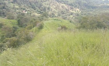 Venta Finca Ganadera y Agricola Gomez Plata Antioquia