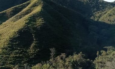 Venta Finca Ganadera y Agricola Gomez Plata Antioquia