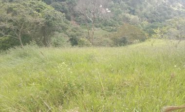 Venta Finca Ganadera y Agricola Gomez Plata Antioquia