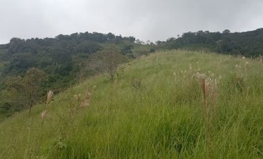 Venta Finca Ganadera y Agricola Gomez Plata Antioquia