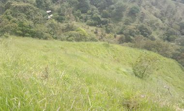 Venta Finca Ganadera y Agricola Gomez Plata Antioquia