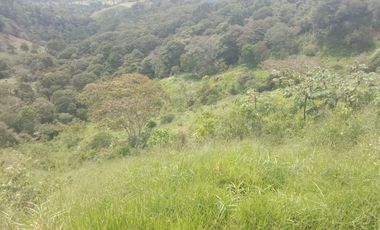 Venta Finca Ganadera y Agricola Gomez Plata Antioquia