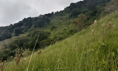 Venta Finca Ganadera y Agricola Gomez Plata Antioquia