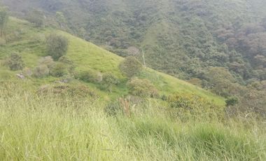 Venta Finca Ganadera y Agricola Gomez Plata Antioquia