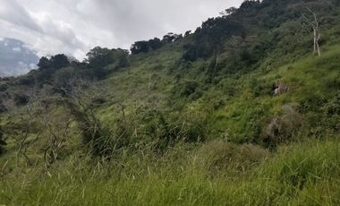 Venta Finca Ganadera y Agricola Gomez Plata Antioquia