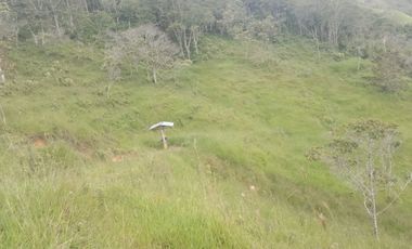 Venta Finca Ganadera y Agricola Gomez Plata Antioquia