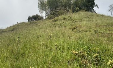 Venta Finca Ganadera y Agricola Gomez Plata Antioquia