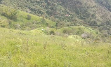 Venta Finca Ganadera y Agricola Gomez Plata Antioquia