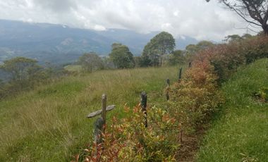 Venta Finca Ganadera y Agricola Gomez Plata Antioquia