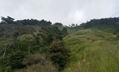 Venta Finca Ganadera y Agricola Gomez Plata Antioquia