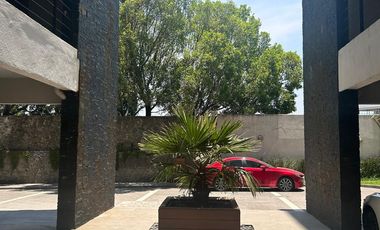 DEPARTAMENTO EN LA PAZ - RENTA $20,000.00 con mantenimiento incluido NEGOCIABLE