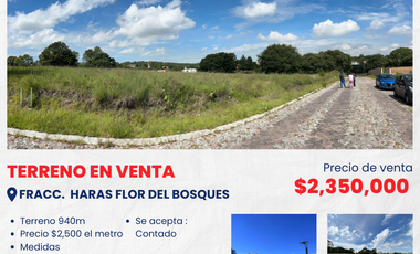 SE VENDE TERRENO EN FRACC. HARAS FLOR DEL BOSQUES, CERCA DE PERIFERICO ECOLÓGICO, FEDERAL A TEHUACAN.