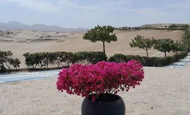 Lote de 450 m² en Venta – Nueva Lima (km 120 Panamericana Sur)