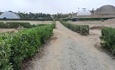 Lote de 450 m² en Venta – Nueva Lima (km 120 Panamericana Sur)