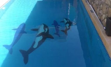 CASA EN VENTA EN FRACCIONAMIENTO EL ROBLE EL ARENAL JALISCO