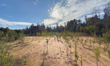 Venta Terrrenos camino a Florida