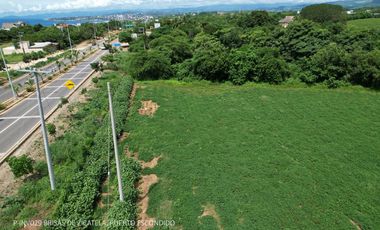 TERRENO EN RENTA, ZONA COMERCIAL PUERTO ESCONDIDO