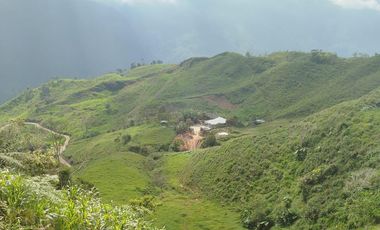 Venta Finca Ganadera Lechera Yarumal (El Cedro) Antioquia