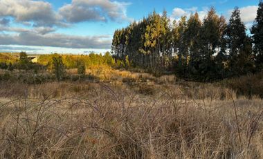 Terreno Comercial sector Trapen Ref. Puente Taylor 2 Puerto Montt