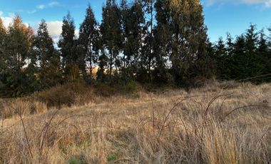 Terreno Comercial sector Trapen Ref. Puente Taylor 2 Puerto Montt