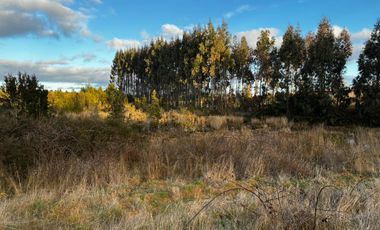 Terreno Comercial sector Trapen Ref. Puente Taylor 2 Puerto Montt