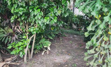 Alquilo Casa 03 habitaciones en Urbanización Juan Pablo II, IQUITOS, Perú