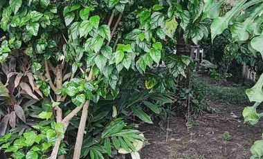 Alquilo Casa 03 habitaciones en Urbanización Juan Pablo II, IQUITOS, Perú