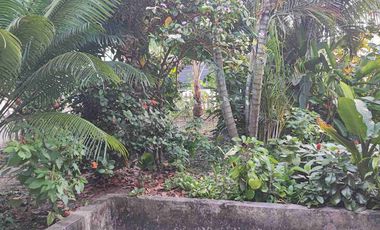 Alquilo Casa 03 habitaciones en Urbanización Juan Pablo II, IQUITOS, Perú