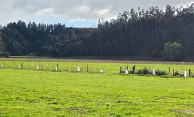 PARCELA CON EMBARCADERO A RIO NAVEGABLE, OSORNO