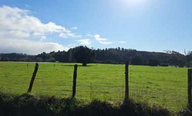 PARCELA CON EMBARCADERO A RIO NAVEGABLE, OSORNO