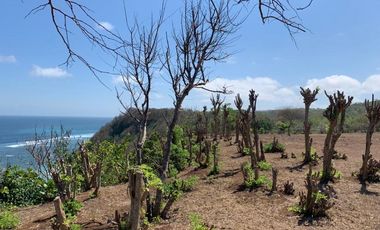 Jual Cepat Tanah Los tebing view ocean di Ungasan, Bali