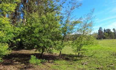 Vendo Parcela en Pencahue, V 1647-P-62-GR.01-25