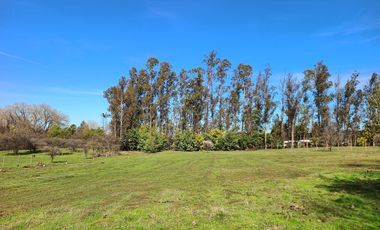 Vendo Parcela en Pencahue, V 1647-P-62-GR.01-25