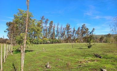 Vendo Parcela en Pencahue, V 1647-P-62-GR.01-25
