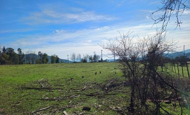 Vendo Parcela en Pencahue, V 1647-P-62-GR.01-25
