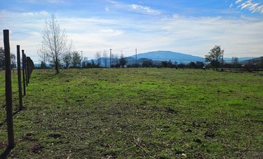 Vendo Parcela en Pencahue, V 1647-P-62-GR.01-25
