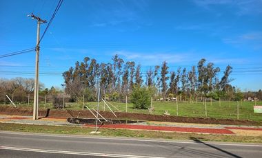 Vendo Parcela en Pencahue, V 1647-P-62-GR.01-25