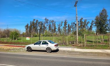 Vendo Parcela en Pencahue, V 1647-P-62-GR.01-25