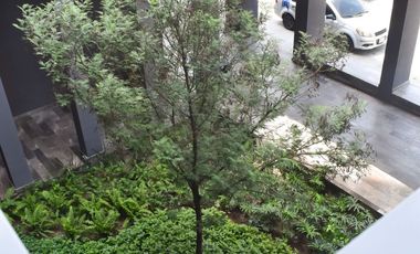 DEPARTAMENTO EN RENTA PUNTO SUR