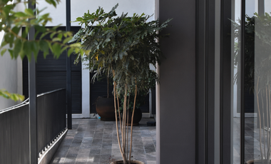 DEPARTAMENTO EN RENTA PUNTO SUR