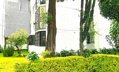 AMPLÍSIMO CÓMODO RODEADO DE ARBÓLES Y JARDINES ALIANZA POPULAR REVOLUCIONARIA COYOACAN