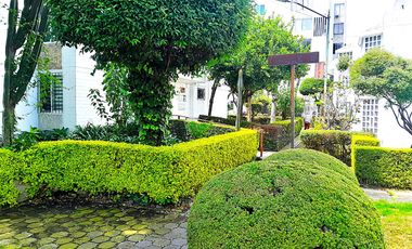 AMPLÍSIMO CÓMODO RODEADO DE ARBÓLES Y JARDINES ALIANZA POPULAR REVOLUCIONARIA COYOACAN