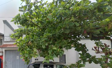 CASA EN VENTA EN LOS NARANJO ,LÁZARO CÁRDENAS TAPACHULA DE CÓRDOBA Y OROÑES CHIAPAS