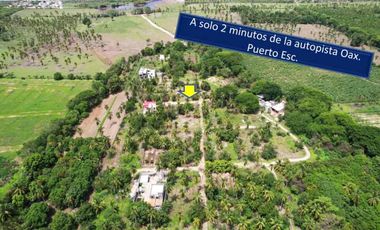 3 terrenos en punta palmera
