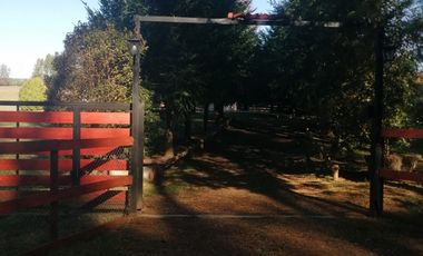 ESTUPENDA PARCELA CON CASA Y 2 CABAÑAS EN REGION DEL BIOBIO, SECTOR QUILACO