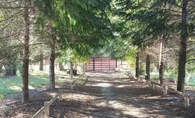 ESTUPENDA PARCELA CON CASA Y 2 CABAÑAS EN REGION DEL BIOBIO, SECTOR QUILACO