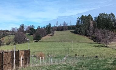 ESTUPENDA PARCELA CON CASA Y 2 CABAÑAS EN REGION DEL BIOBIO, SECTOR QUILACO